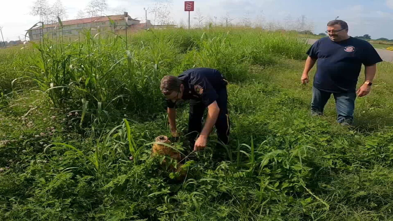 GH012090_frame_2609.jpeg